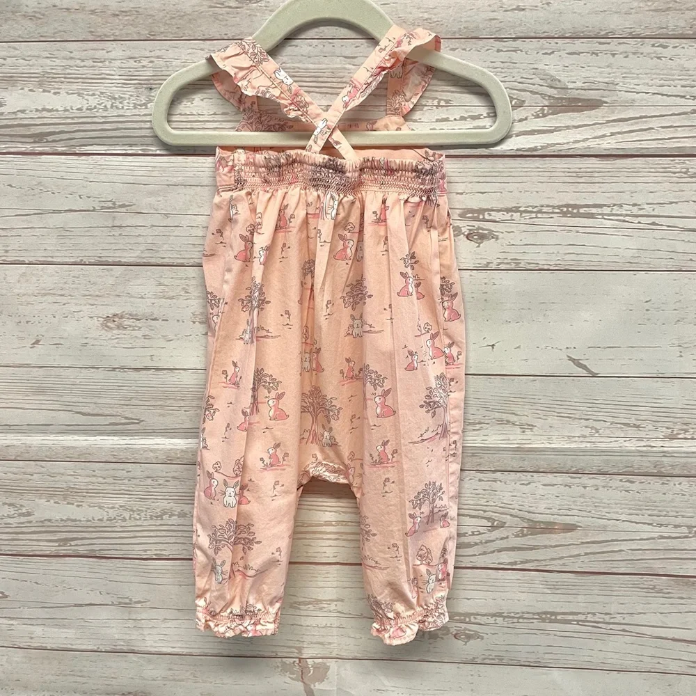 Gymboree Bunny Rabbit Pink Romper